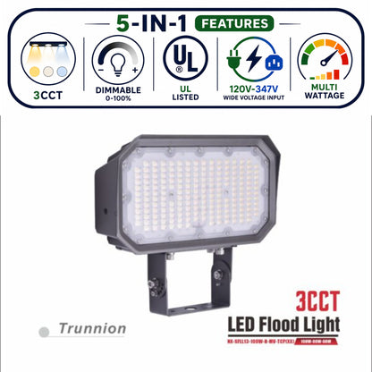 3CCT LED Flood Light, Knuckle Mount 60-100W – NXSFLL-13-100W